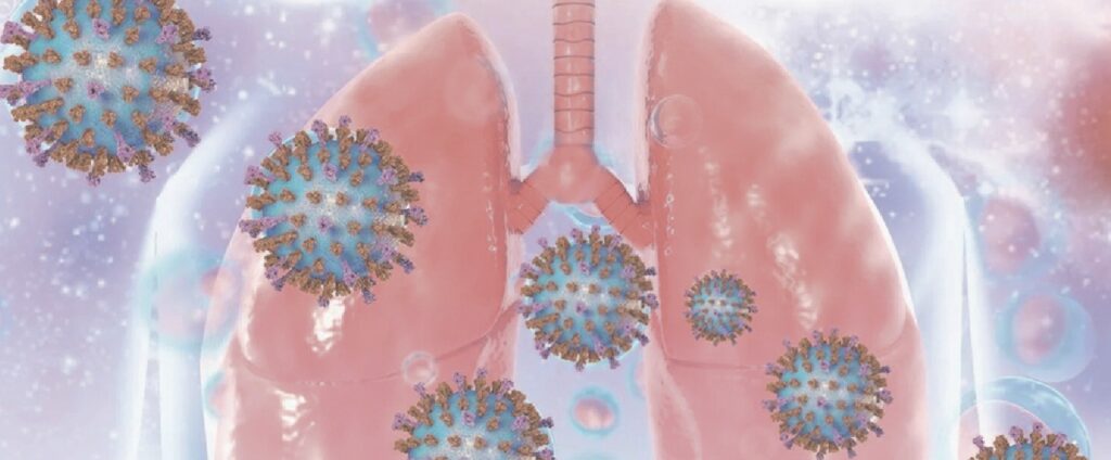 Virus respiratorio sinciziale, i dati dell’Osservatorio: bene copertura neonatale ma equità a rischio per anziani, fragili e donne in gravidanza