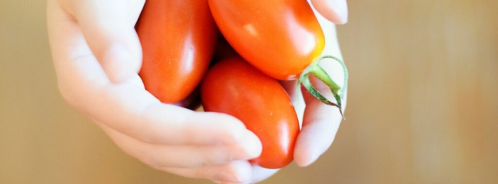 Il piatto diviso: se la salute diventa un privilegio di classe